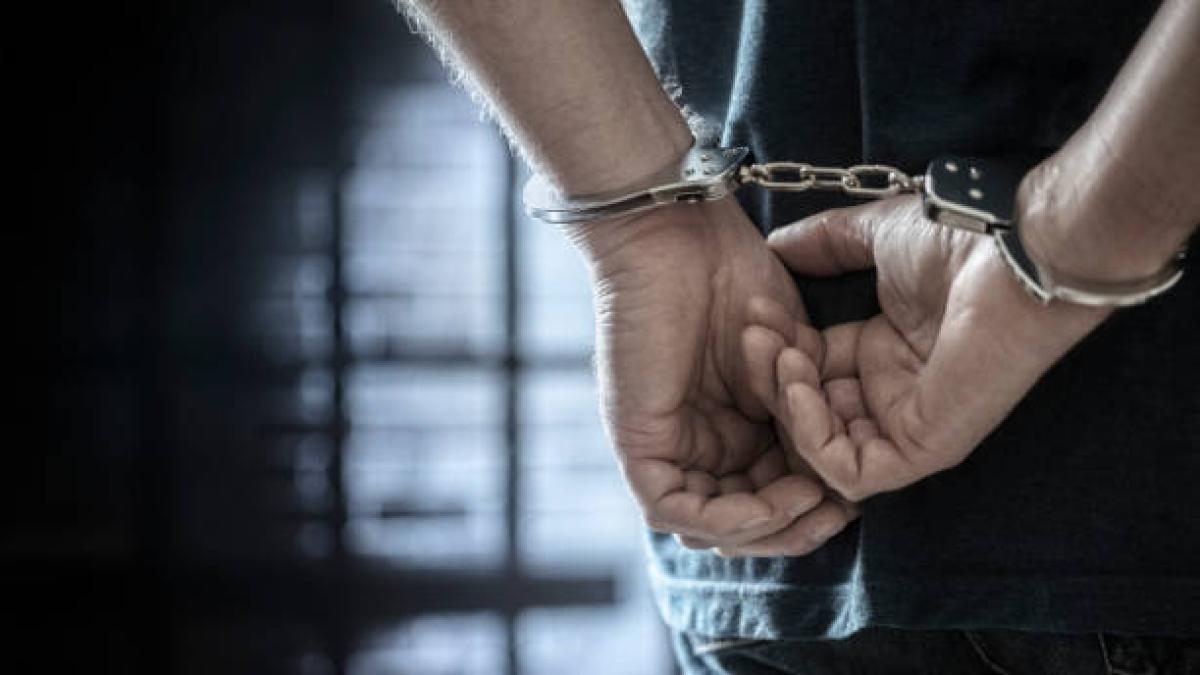 Arrestaron a un hombre después de descubrir que vivía con este animal salvaje en su casa: reclamó apoyo emocional