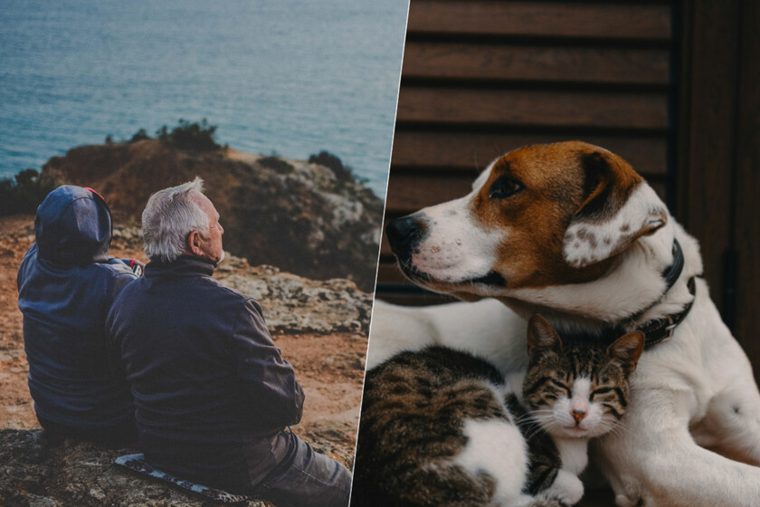 La soledad ya es una cuestión de salud pública. Tenemos más y más evidencia de que los animales nos ayudan a calmarlo