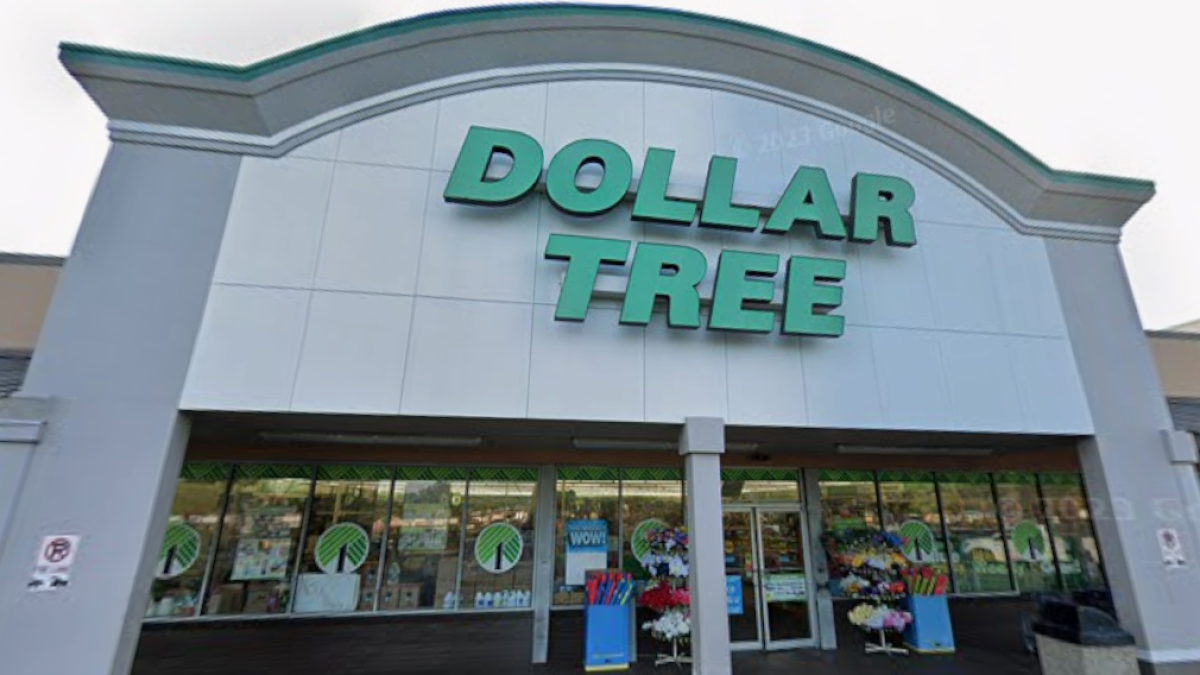 Las cestas de almacenamiento como Dollar Tree han «casi dotadas» y son ideales para el hogar