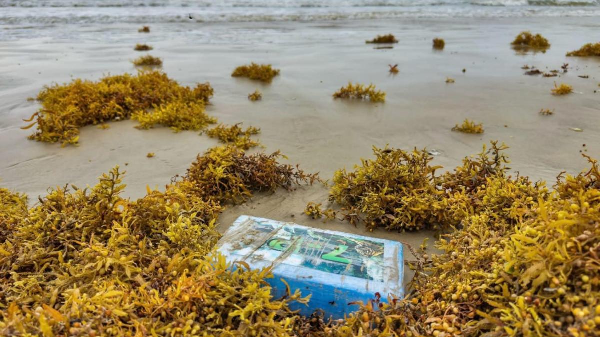 En un beach de Texas encontraron esta carga ilegal