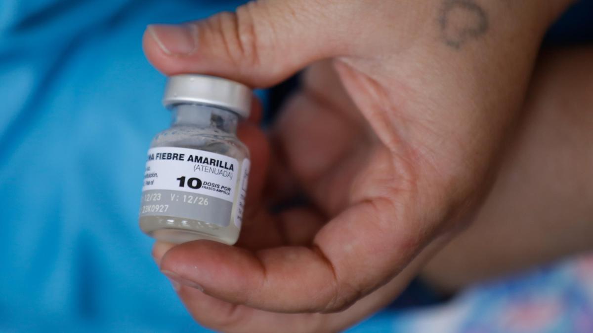 Atlantic acepta agentes nacionales contra la fiebre amarilla.