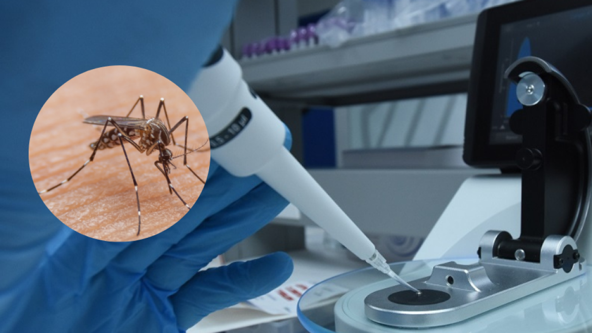 Unisimon ofrece inteligencia artificial para fortalecer el control de la fiebre amarilla en Colombia