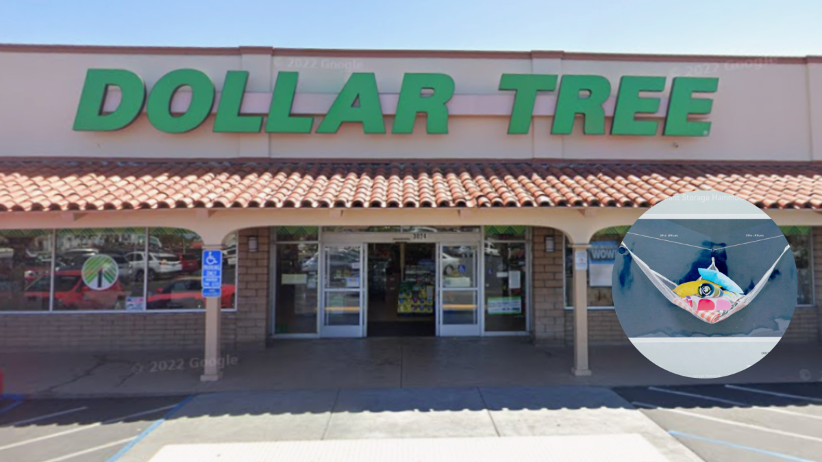 Dollar Tree vende este artículo de almacenamiento que todos necesitan en casa por $ 1