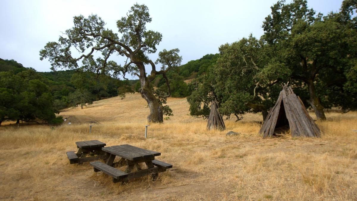 Esta nueva ley en California afectará el turismo: cuidado, amantes del campamento

 – Desde dentro