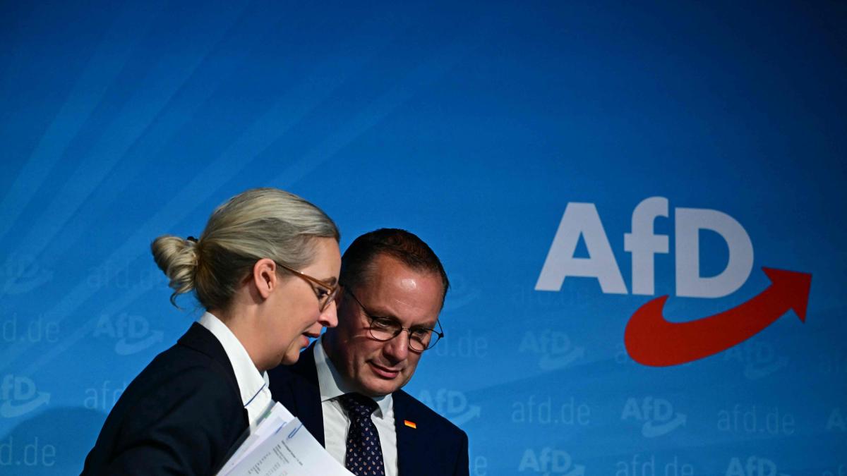 Alemania: El Partido Afd está calificado como «extremista correcto» de los servicios de inteligencia: ¿Qué significa eso?