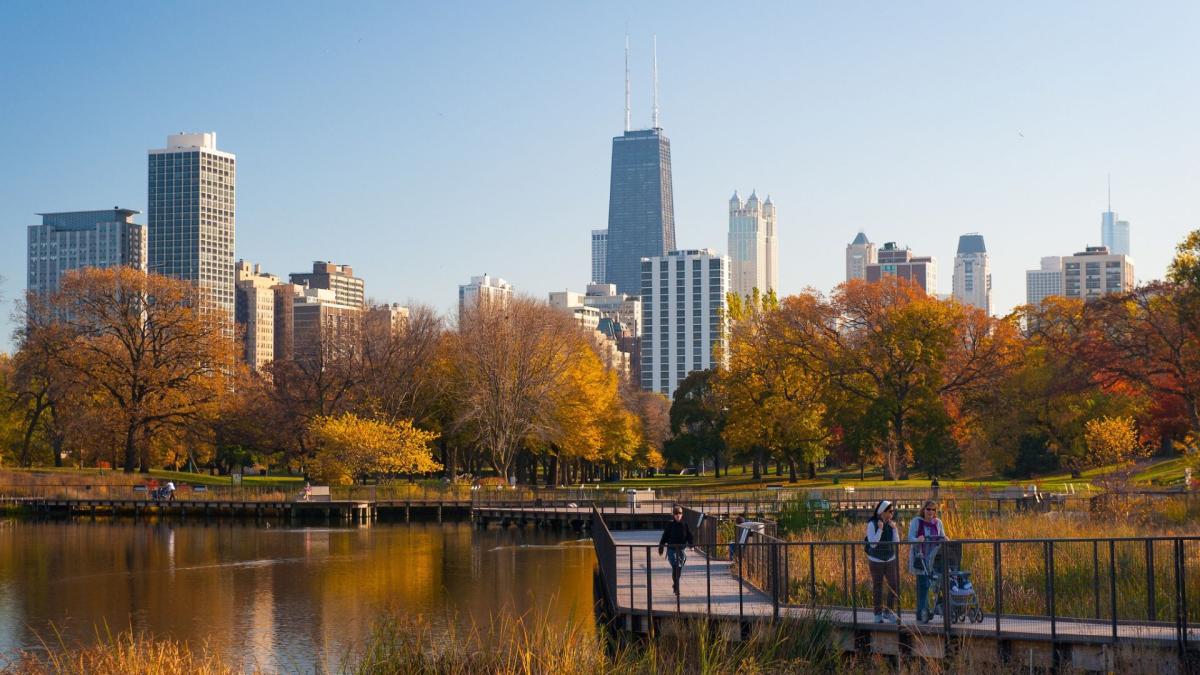 Con estas construcciones quieren convertir esta área de Chicago en una zona residencial