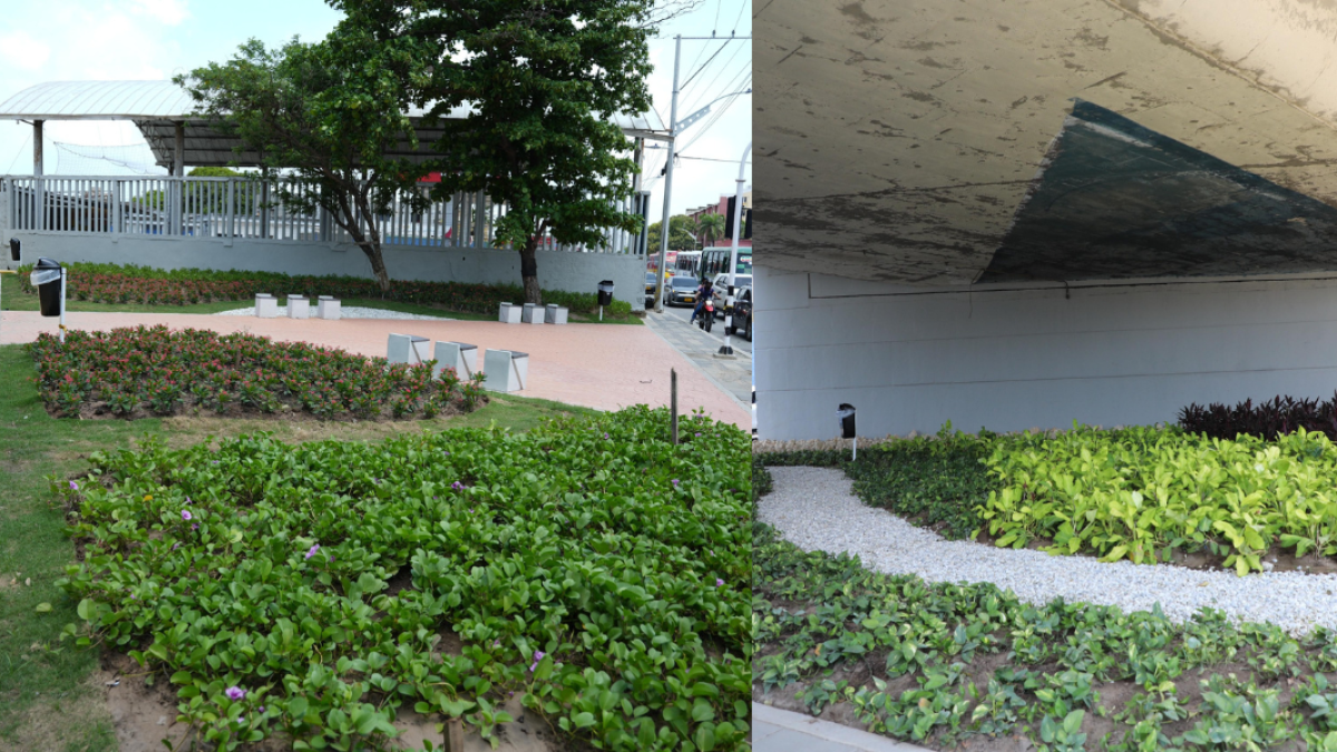 Descarga de basura y un lugar peligroso en verde y una reunión de Barranquilleros

 – Desde dentro