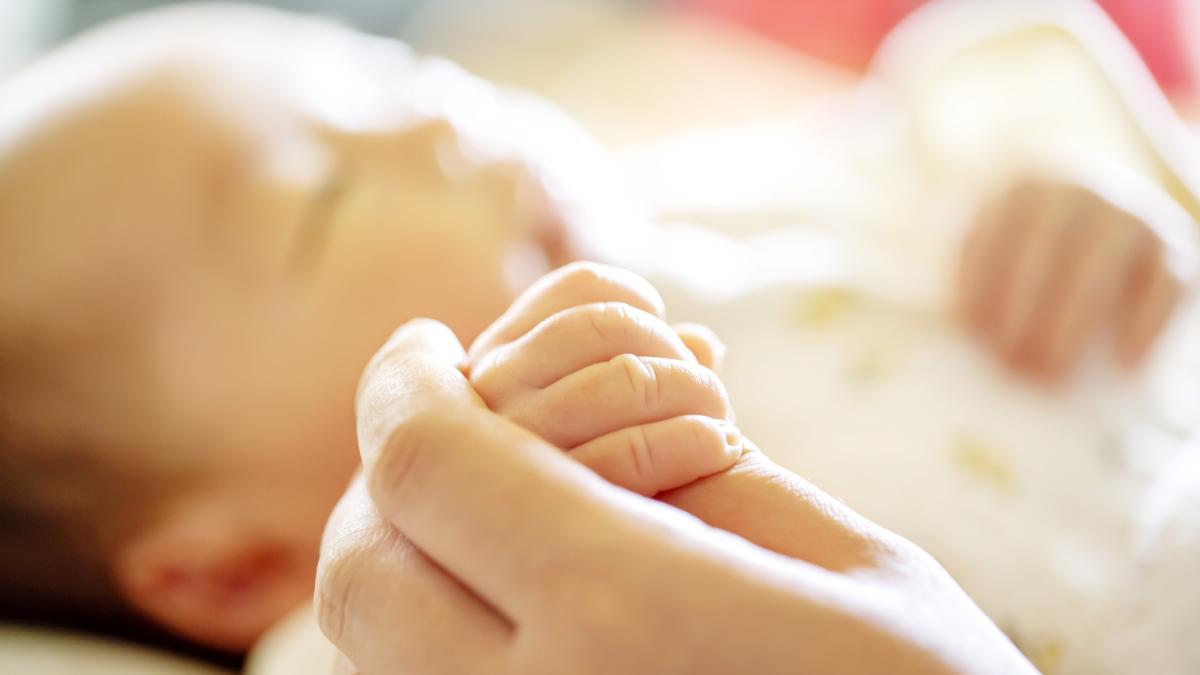 Dicen que tratar de evitar traumores en los niños

 – Desde dentro