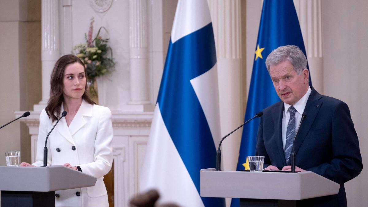 La severa coexistencia entre los renos y los criadores del ejército en el Ártico finlandés

 – Desde dentro