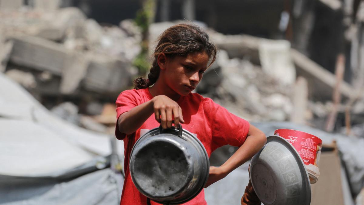 Los hongos crecen en Gaza, mientras que Israel bloquea la ayuda