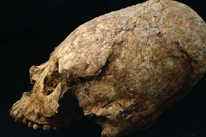 Hemos encontrado un cráneo de hace 6.200 años con forma de cono y signos de violencia. La gran pregunta es qué hacía ahí – Desde dentro