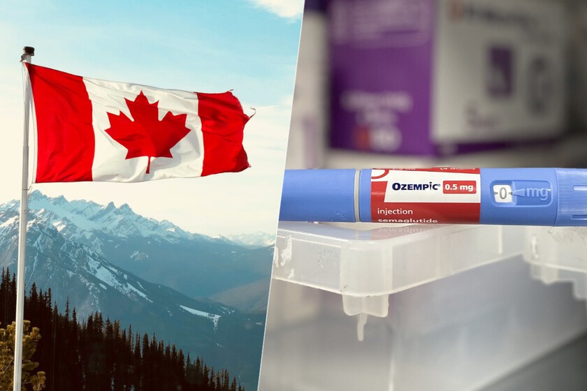 La renovación de la patente Ozempische en Canadá costó un puñado de dólares. Por alguna razón, Novo Nordisk decidió no pagarle

 – Desde dentro