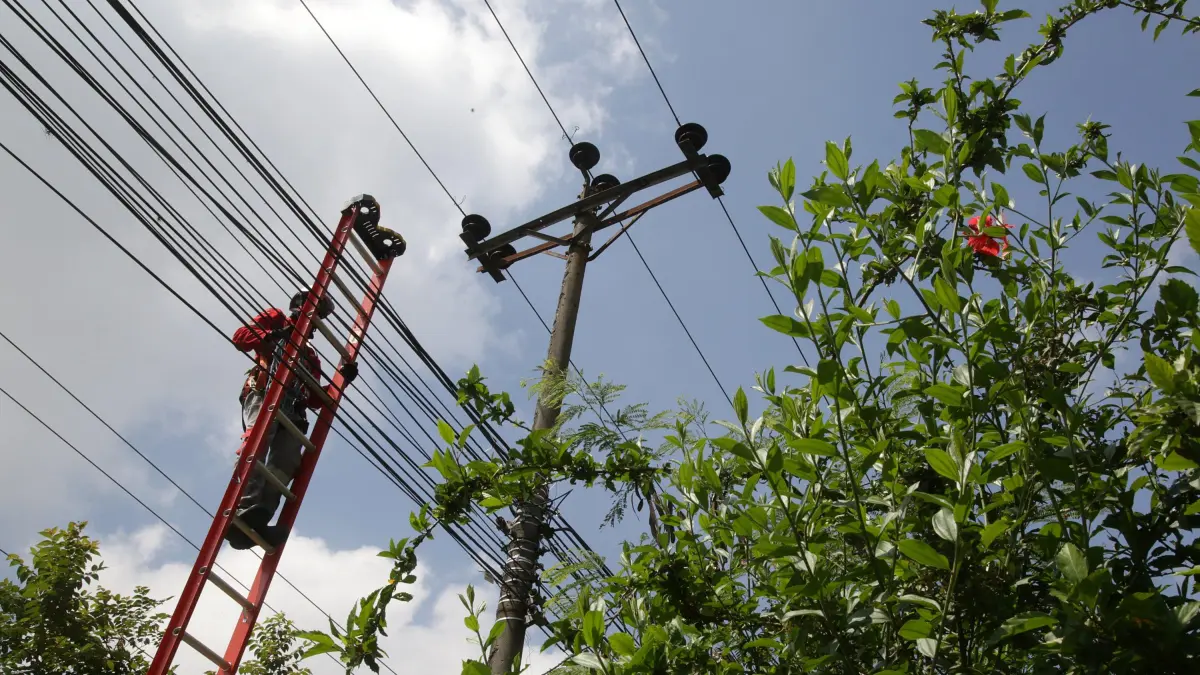 ¡Ojo! Cutki Energy en cinco distritos de todos el martes 24 de junio para el mantenimiento: lo que debe saber

 – Desde dentro