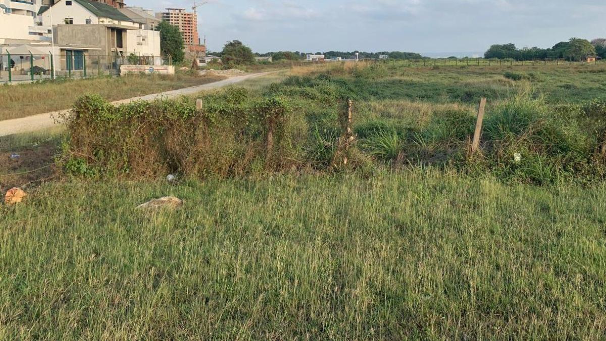 La Corte Suprema parece ser un fracaso histórico en caso de presunto robo de la Tierra en Aerocivil en Cartagena

 – Desde dentro