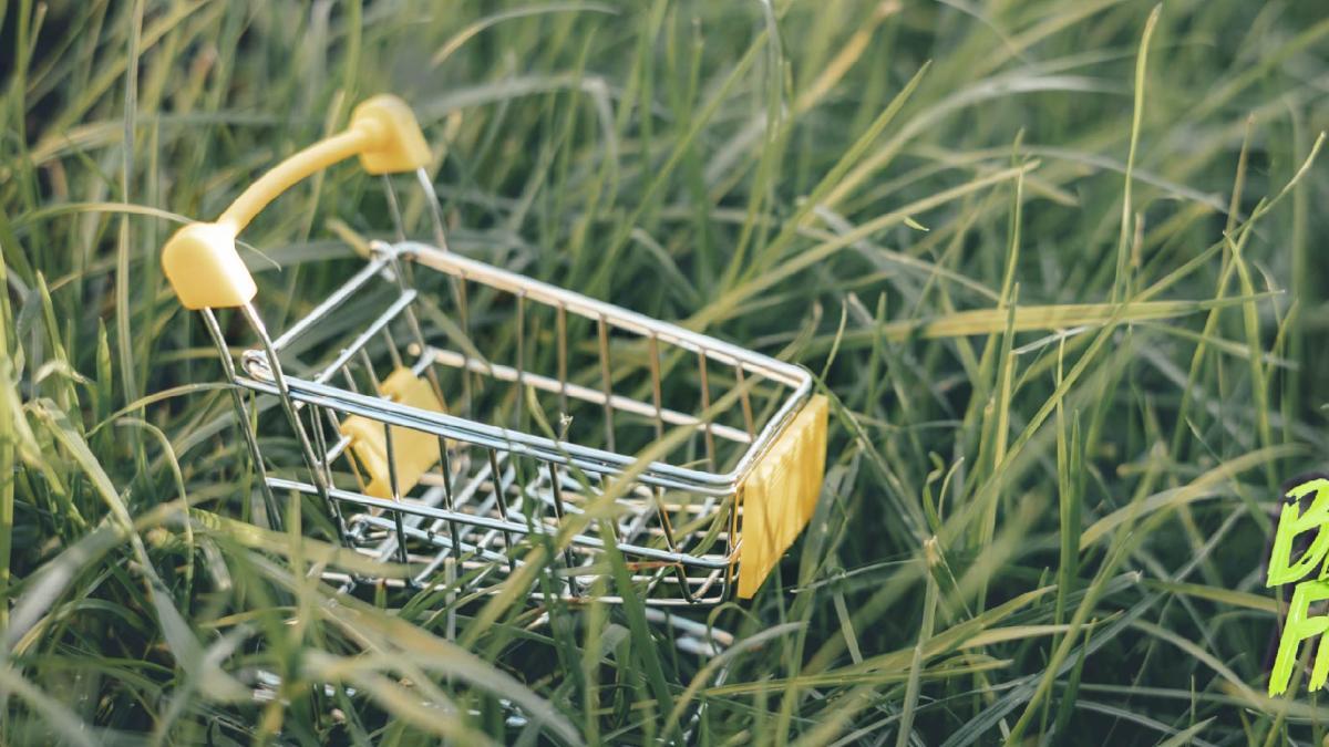 Compras sostenibles, BNPL y otros

 – Desde dentro