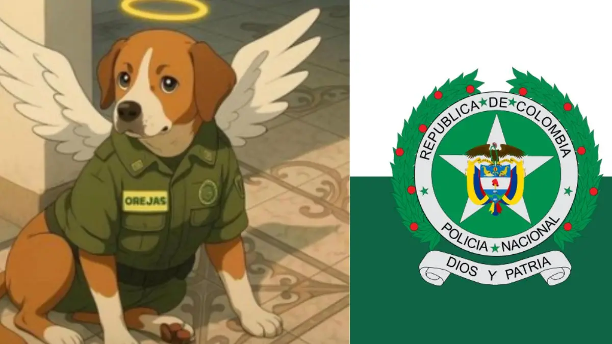 Había un «oído», un cachorro que murió mientras acosaba en la estación de policía en Antioquia

 – Desde dentro