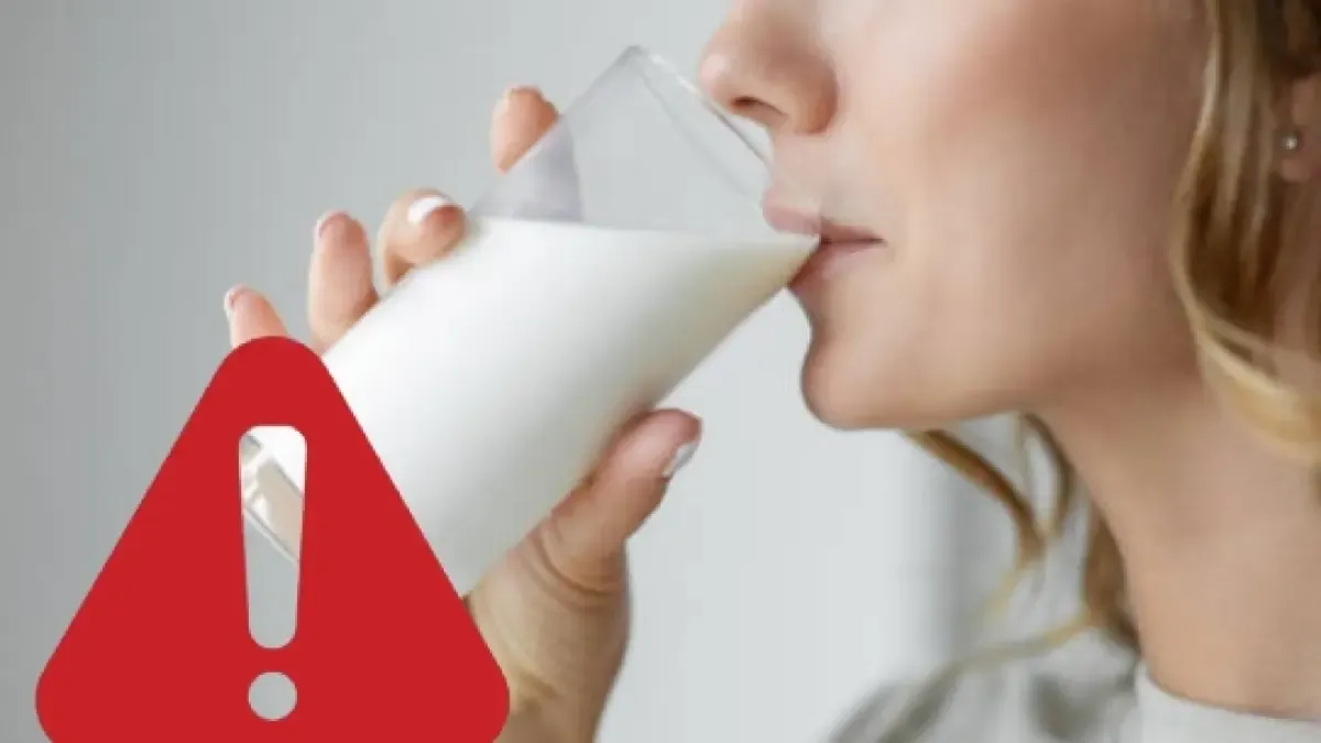 Lo que Harvard descubrió sobre el consumo diario de leche en adultos

 – Desde dentro