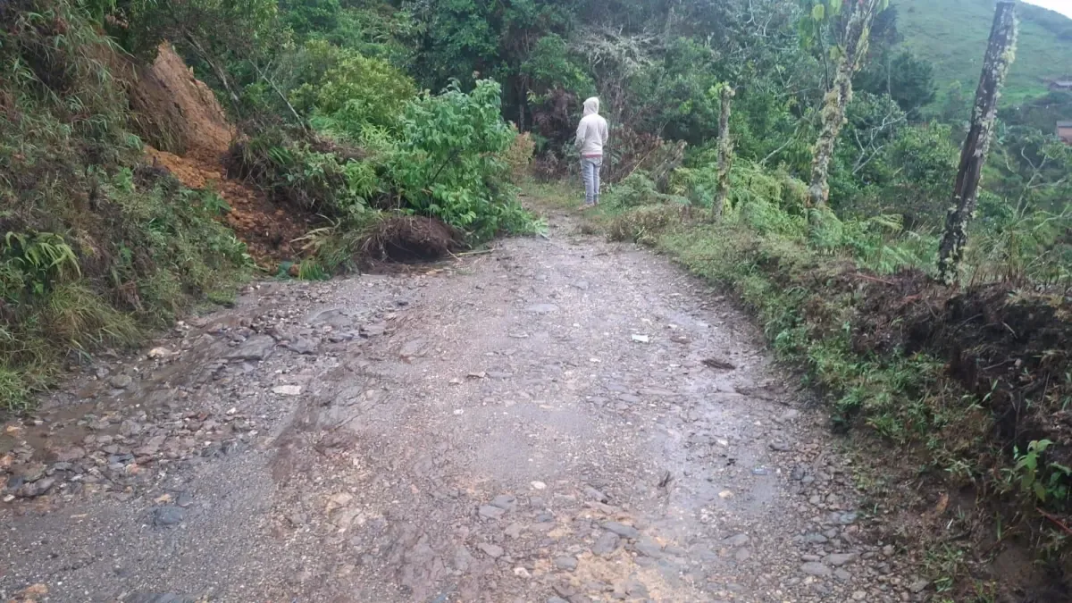 Declarar la urgencia del manifiesto con respecto al impacto en las rutas departamentales

 – Desde dentro