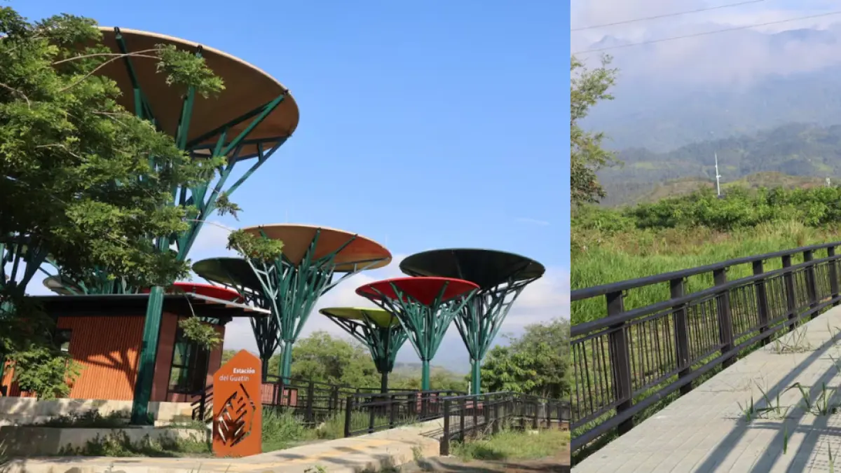 Un nuevo espacio natural dedicado a la renovación ecológica

 – Desde dentro