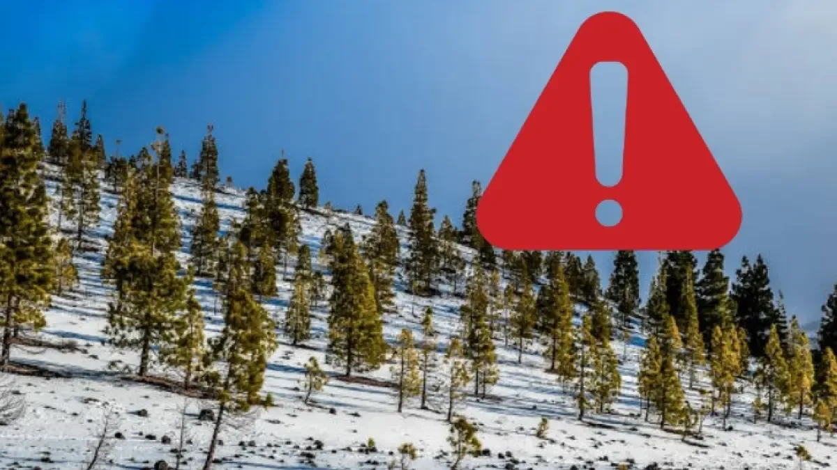 NWS emitió una advertencia de calor para Alaska y nadie puede creer que

 – Desde dentro