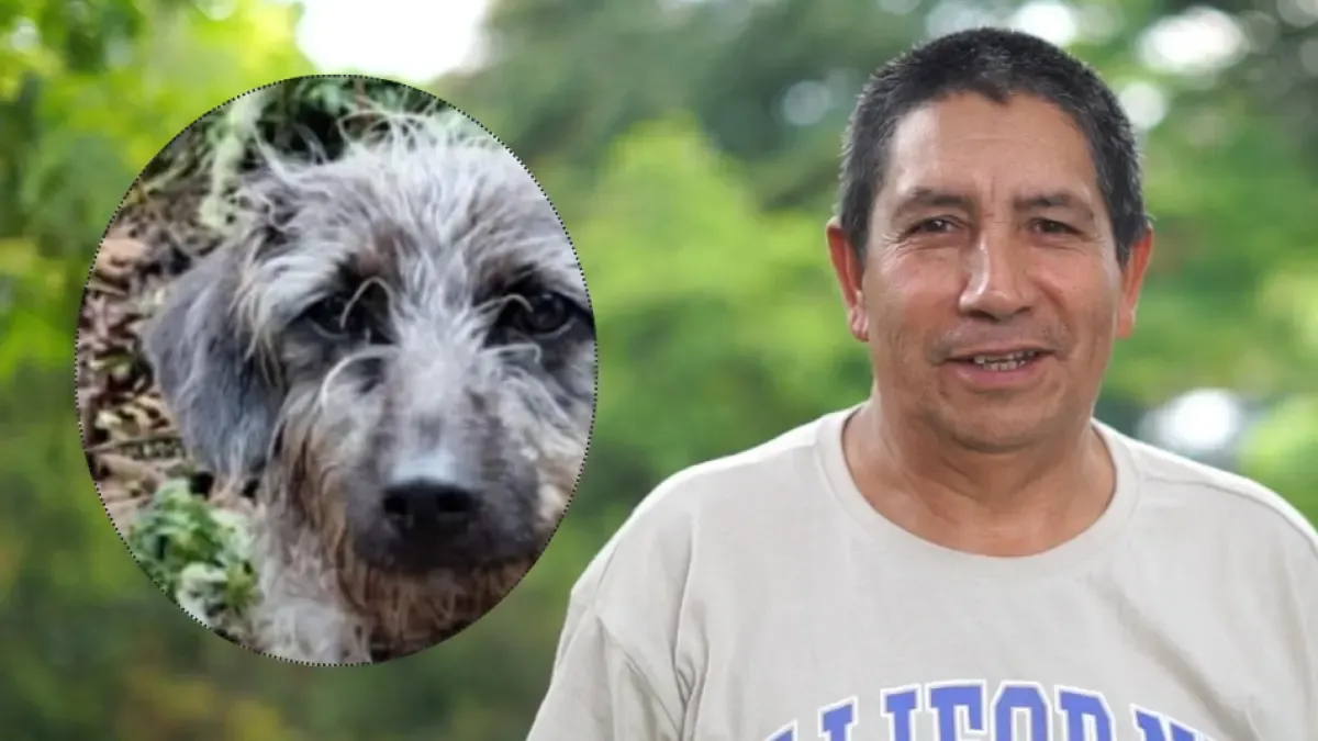 El perro lo acompañó hasta el final

 – Desde dentro