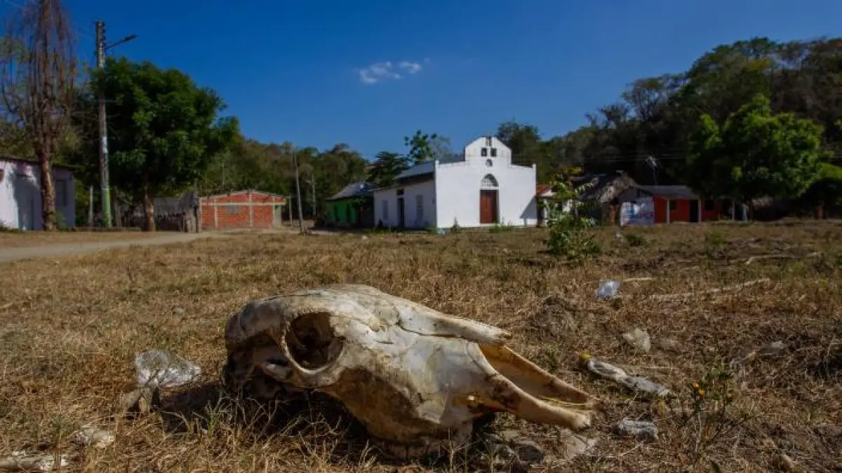 Salado, en suspenso 25 años sin salud, agua o carreteras: ¿hay alguna esperanza para una comunidad olvidada?

 – Desde dentro
