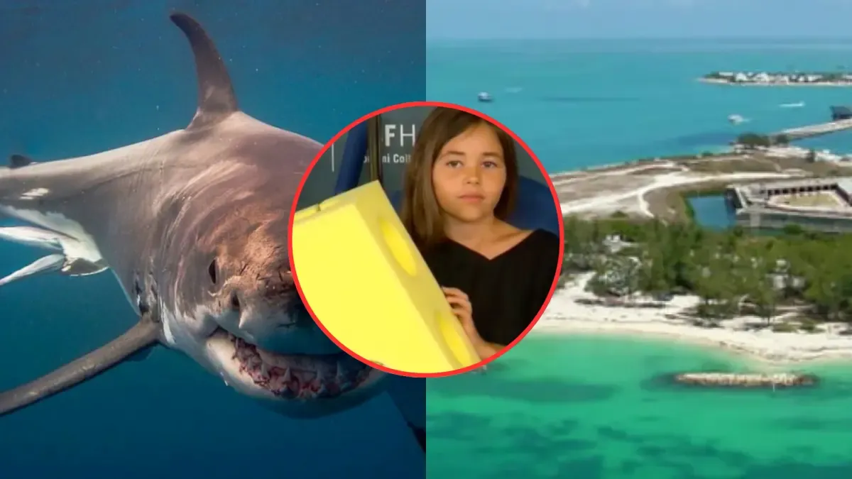 El ataque de tiburón deja a una chica de nueve años herida

 – Desde dentro