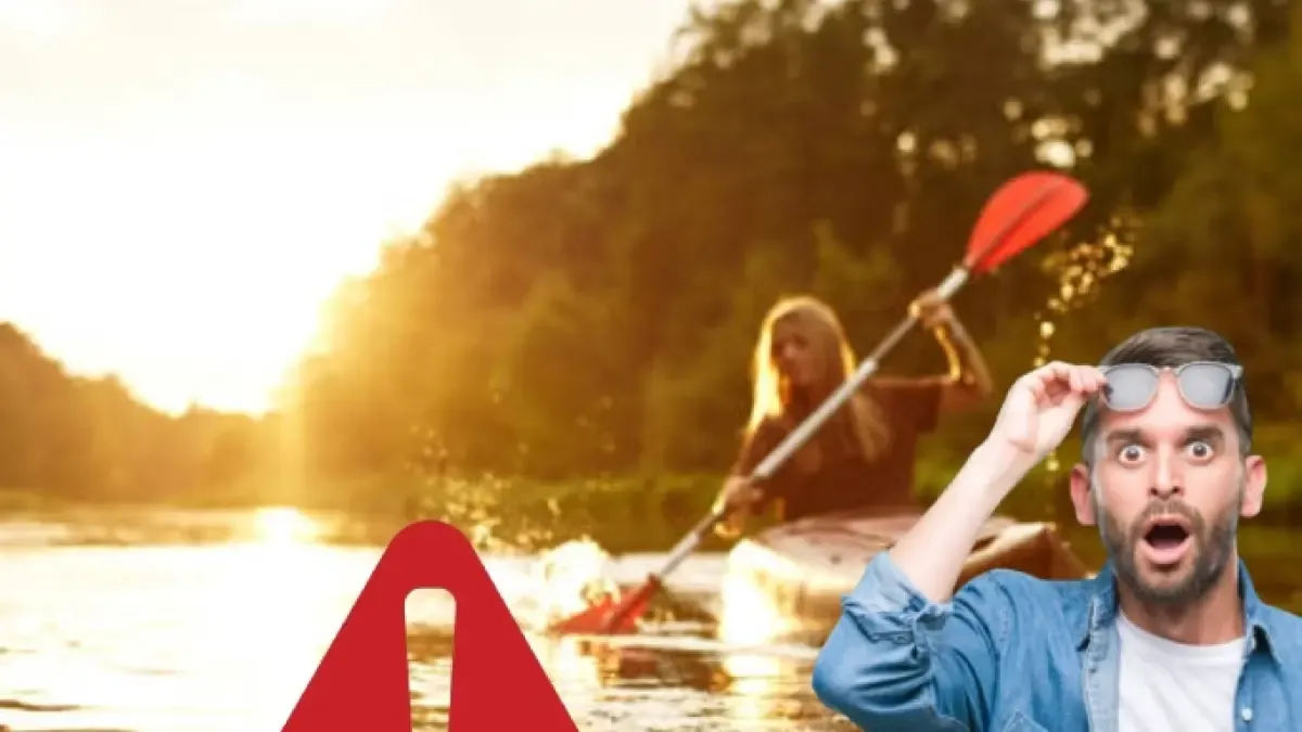 Fue en kayak a través de Florida y nunca imaginó que esta criatura se sorprendería

 – Desde dentro