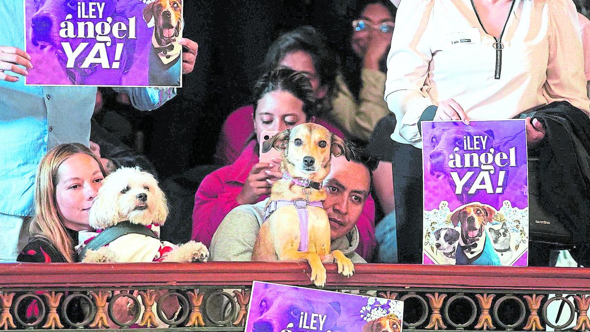 Colombia se dirige hacia los animales

 – Desde dentro