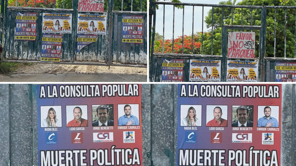 El mensaje de «muerte política» hacia los senadores que no votaron por consultas populares

 – Desde dentro