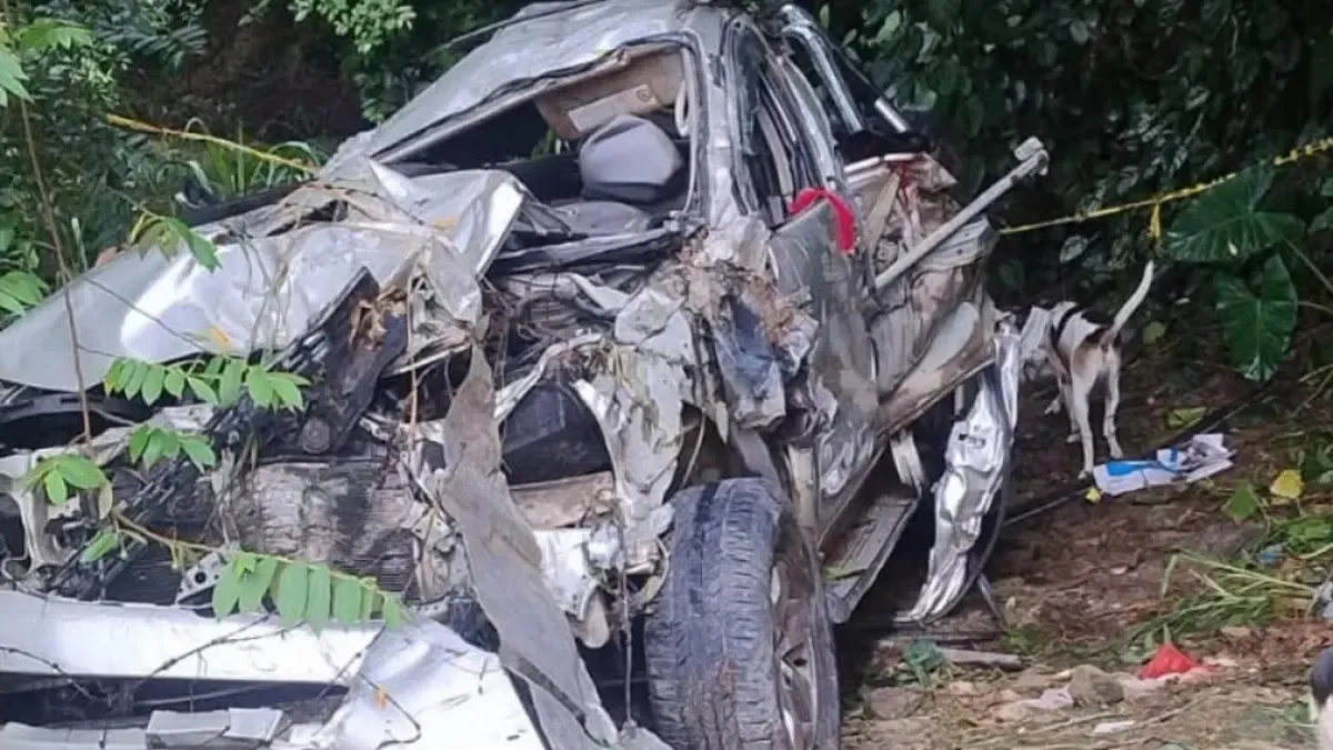 En emergencia, murió e hirió

 – Desde dentro