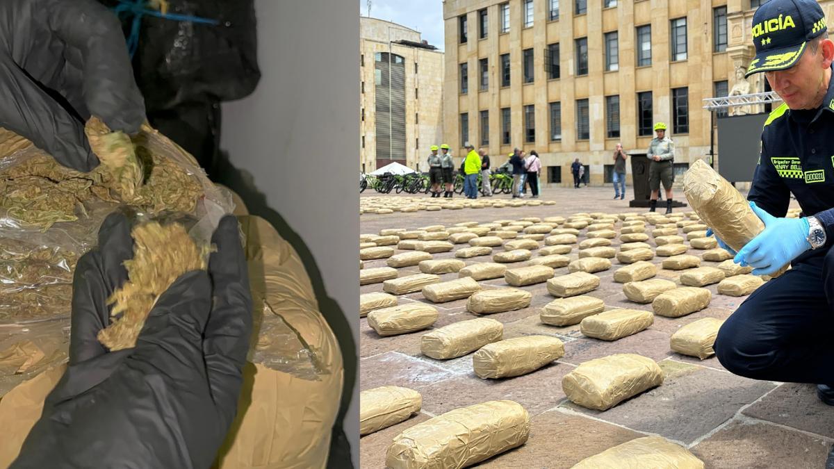 Entonces el segundo mayor cargo de drogas cayó en Bucaramanga

 – Desde dentro