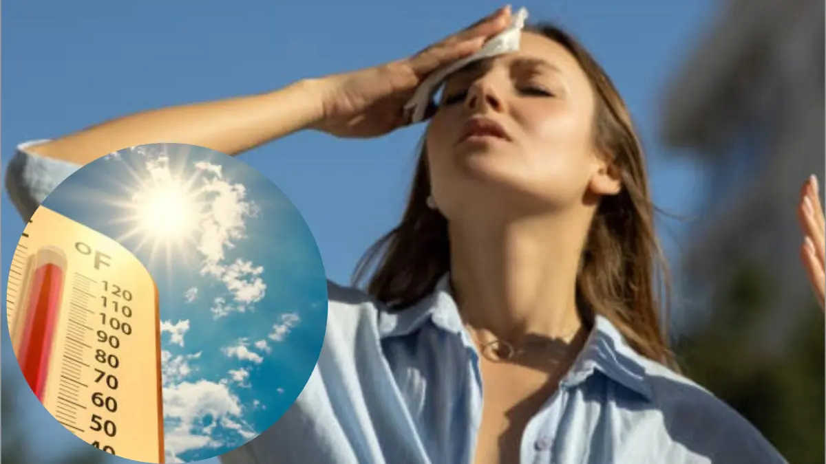 La ciudad estadounidense que tiene una curiosa solución al calor extremo y puede ser un ejemplo para otras áreas.

 – Desde dentro