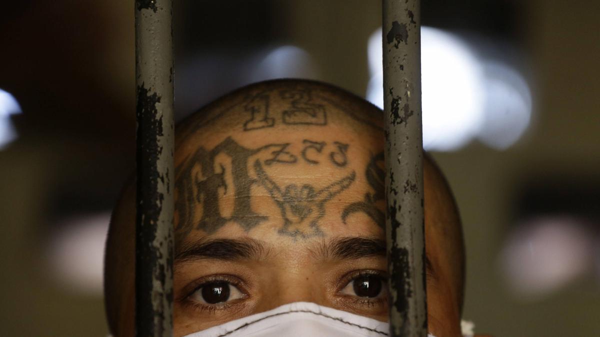 Lo arrestaron en los Estados Unidos por un delito y resultaron ser miembro de Mara Salvatrucha

 – Desde dentro