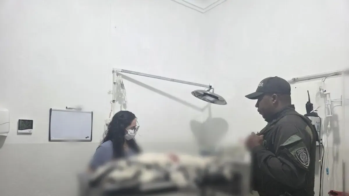 Mató al perro con un arma blanca

 – Desde dentro