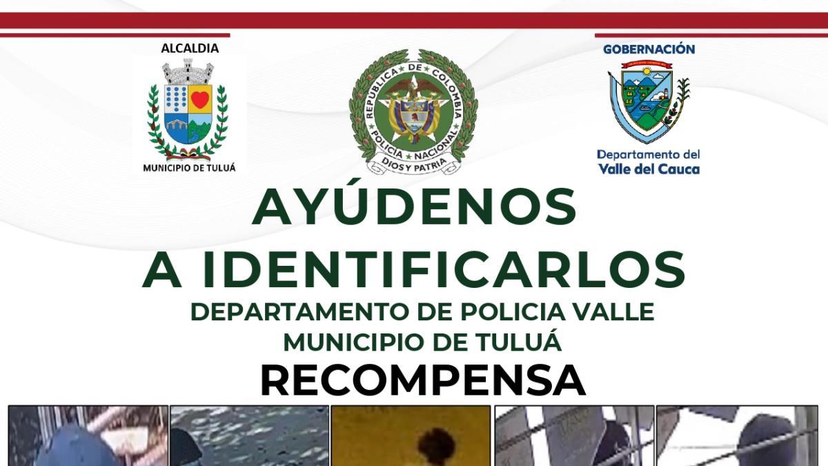 Serían personas «impecables» que causaron terror en Tuluá, quemando autos; Desactivar azul marino

 – Desde dentro