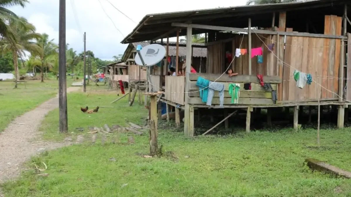 Son habitantes nativos, que solo llegaron a los ríos en el valle, que son limitados y rodeados de grupos armados

 – Desde dentro