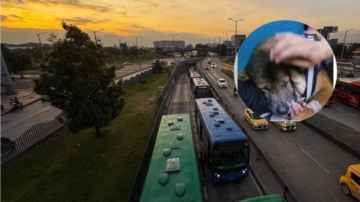 Transmilicne condena a la calle dejando el autobús SITP y su posterior abandono

 – Desde dentro