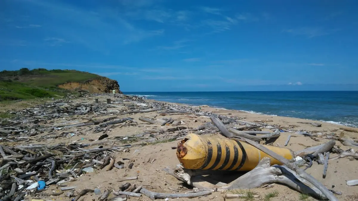 Descubren que la madera de deriva puede ser la clave para medir la contaminación plástica en las playas del Caribe.

 – Desde dentro