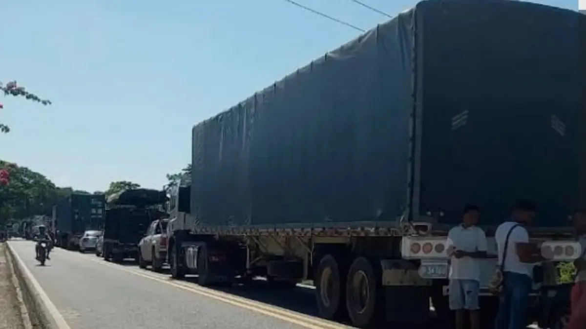 Dos pilotos de Tractomul fueron asesinados en las carreteras de Montes de María en robos

 – Desde dentro