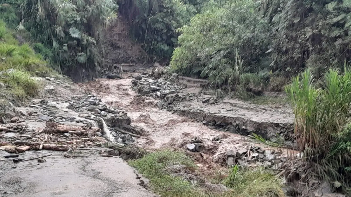 Pérdida de puentes, carreteras y casas

 – Desde dentro