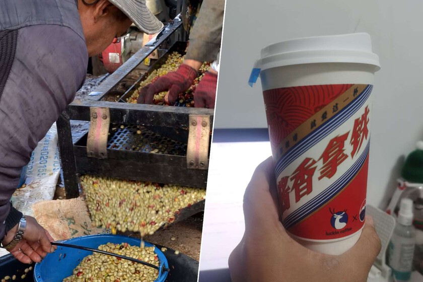 Ya sabemos quién beberá todo el café, que Brasil no exportará los aranceles a los Estados Unidos: China

 – Desde dentro