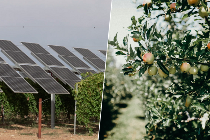 La sombra de los coleccionistas solares

 – Desde dentro