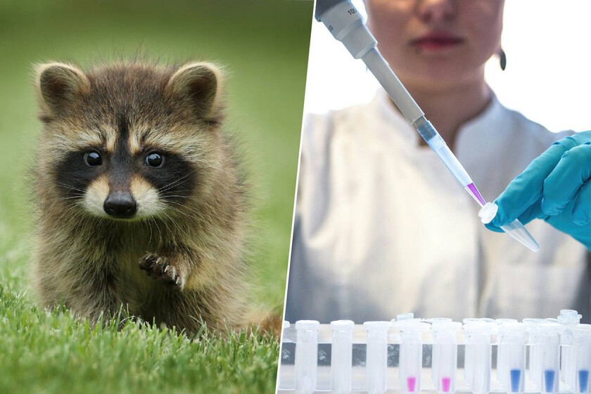 El lugar donde se mantienen docenas de células animales si hay un gran desastre

 – Desde dentro