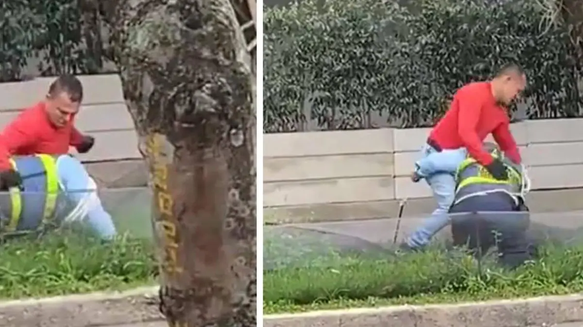 Ejemplos de condena en Bucaramanga El agresor contra el agente de tránsito será de cinco años de prisión: la brutal paliza se ha vuelto viral en las redes sociales

 – Desde dentro
