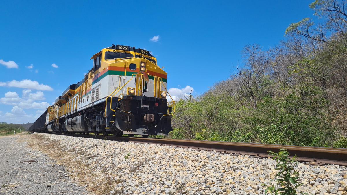 Las autoridades de Guajira confirman que la víctima mortal de un accidente que involucra el tren Cerrejón es la edad legal

 – Desde dentro