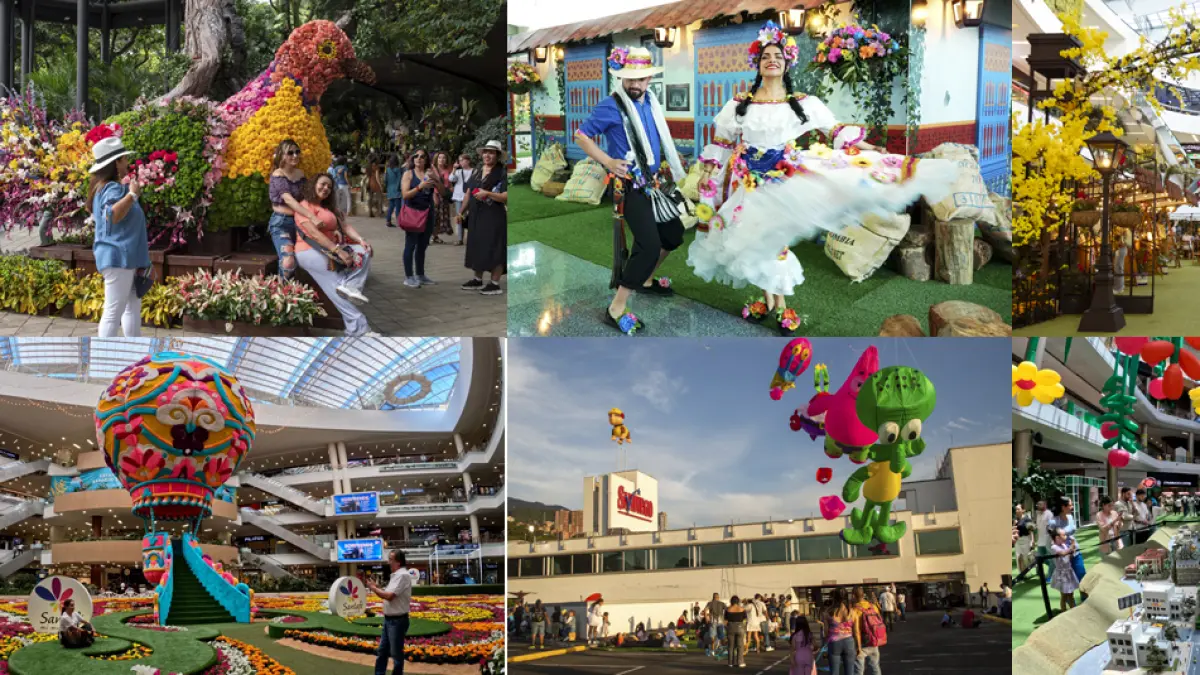 Eventos de jardín botánico y centros comerciales

 – Desde dentro
