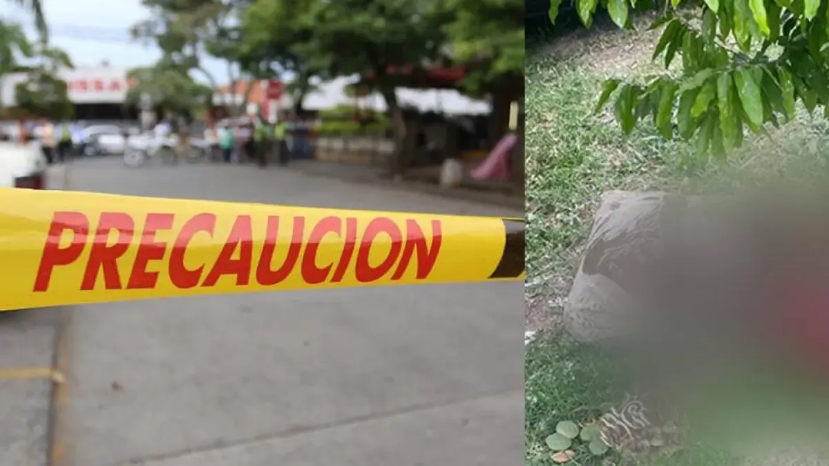 Encuentran restos humanos en el desfiladero y el cadáver envuelto en bolsas

 – Desde dentro
