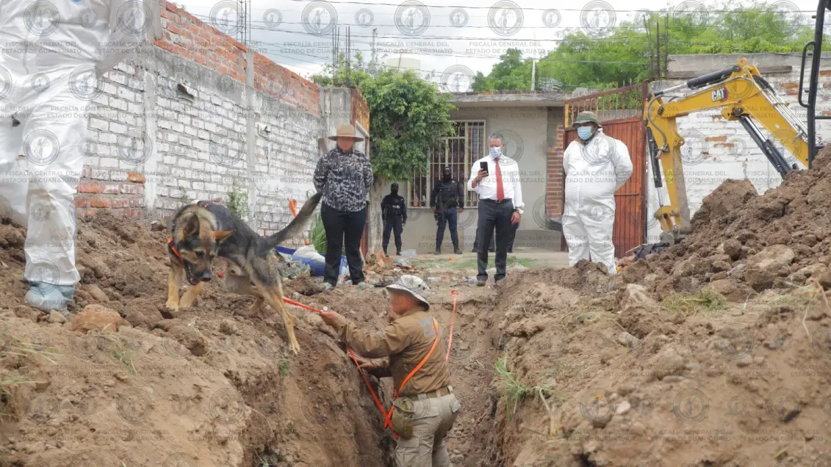 Encuentran los Restos de 32 Personas A UNA Fosa An El Estado Mexicano de Guanajuato
 – Desde dentro