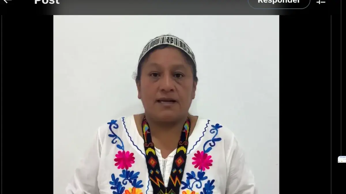 ¿Por qué la senadora Aida Quilcé habló con una patrulla militar en el camino entre Cauca y Huila? Eso es lo que dijo un congresista

 – Desde dentro